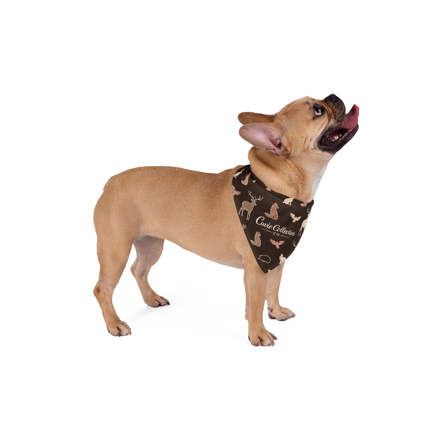 Woodland animals Pet Bandana
