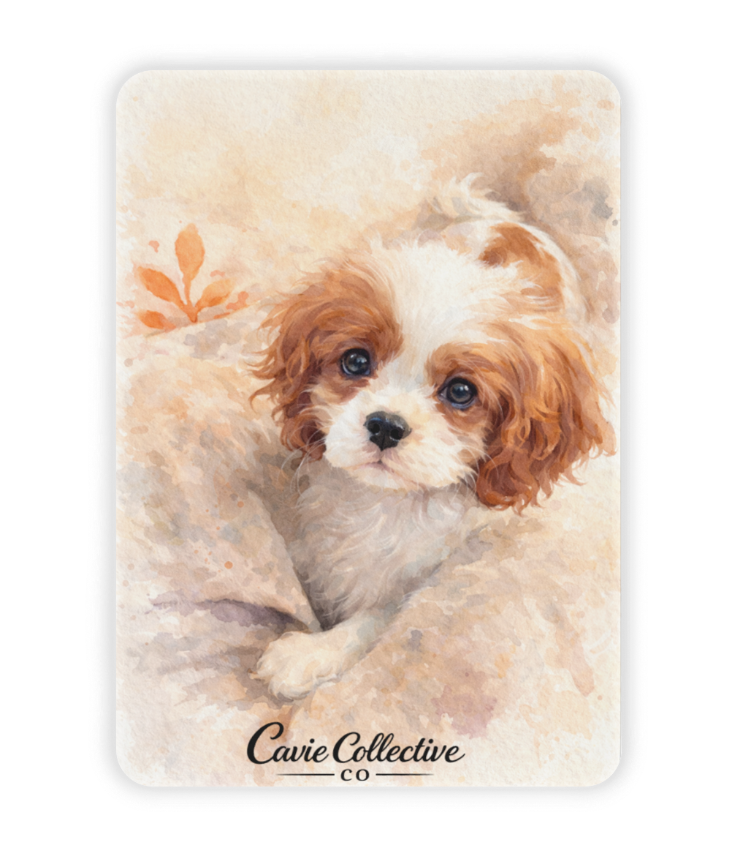 Cavie Magnet