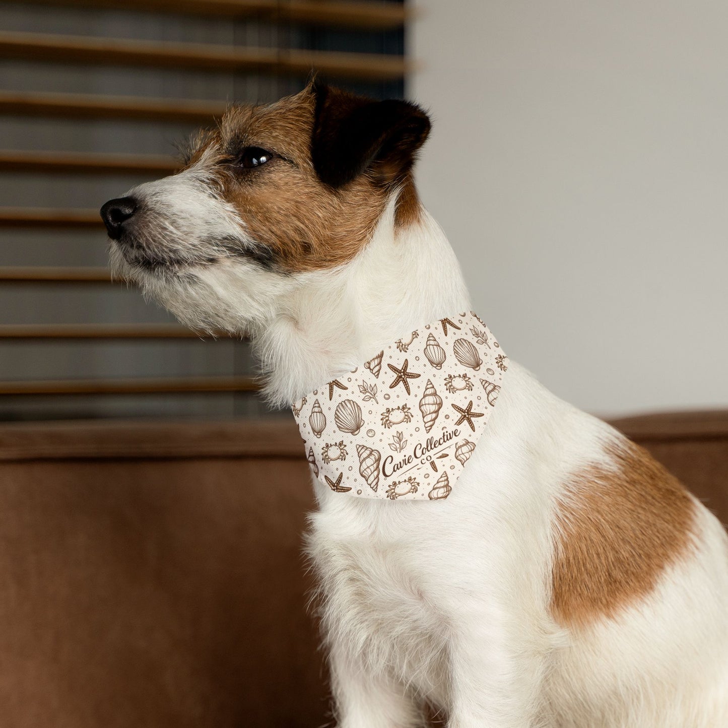 Seashells & Starfish Pet Bandana Collar