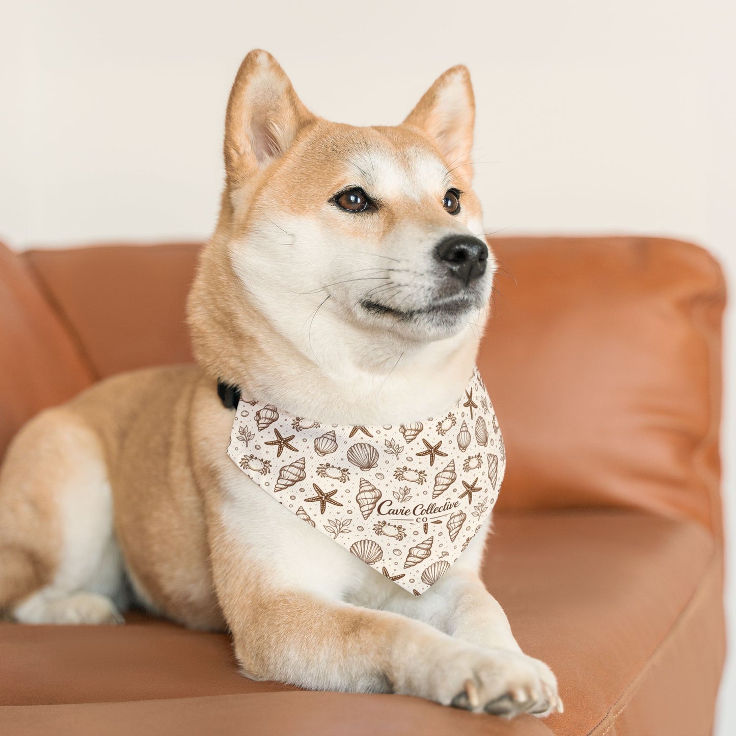 Seashells & Starfish Pet Bandana Collar