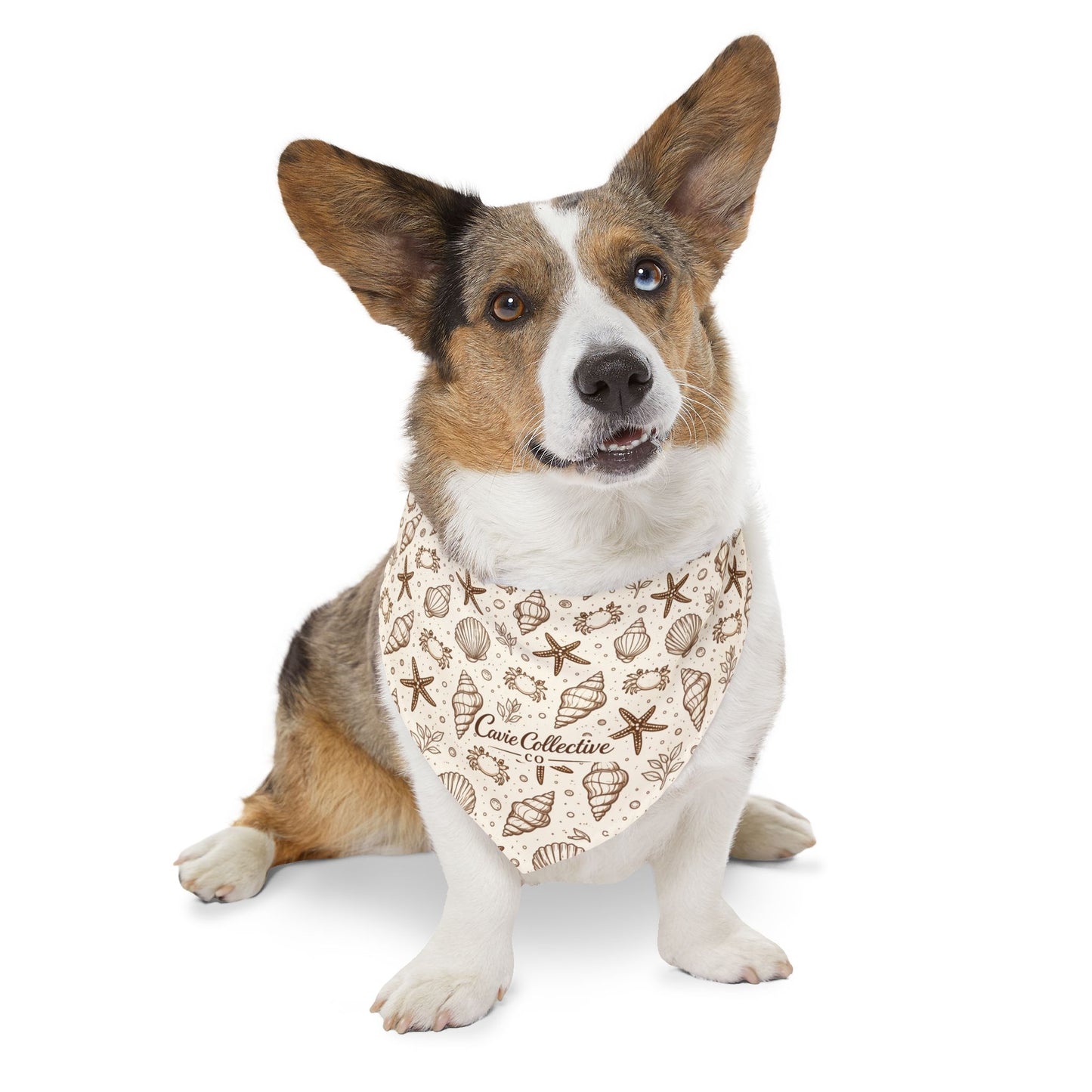 Seashells & Starfish Pet Bandana Collar